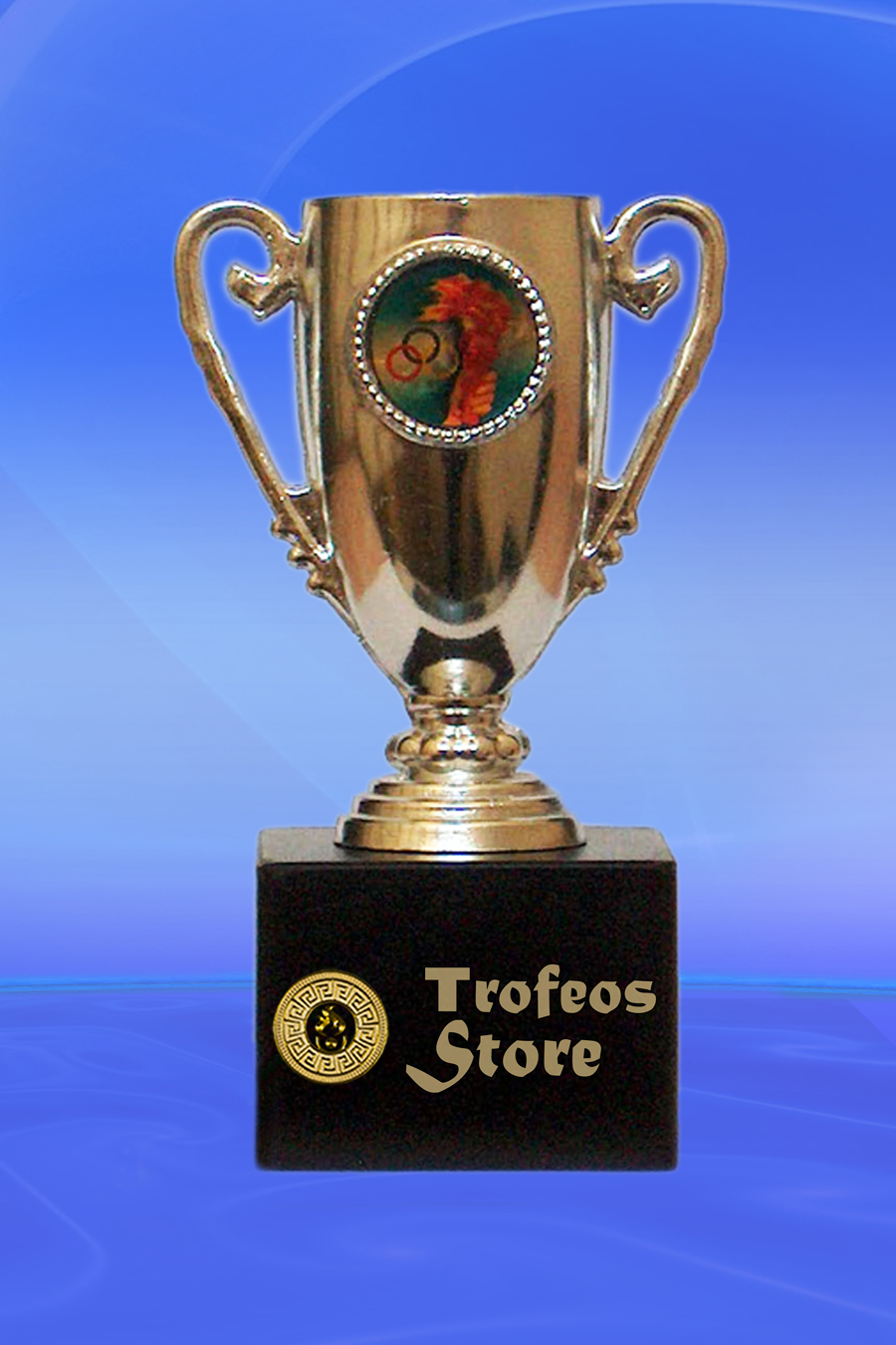 trofeos y medallas en Cali - Trofeos store